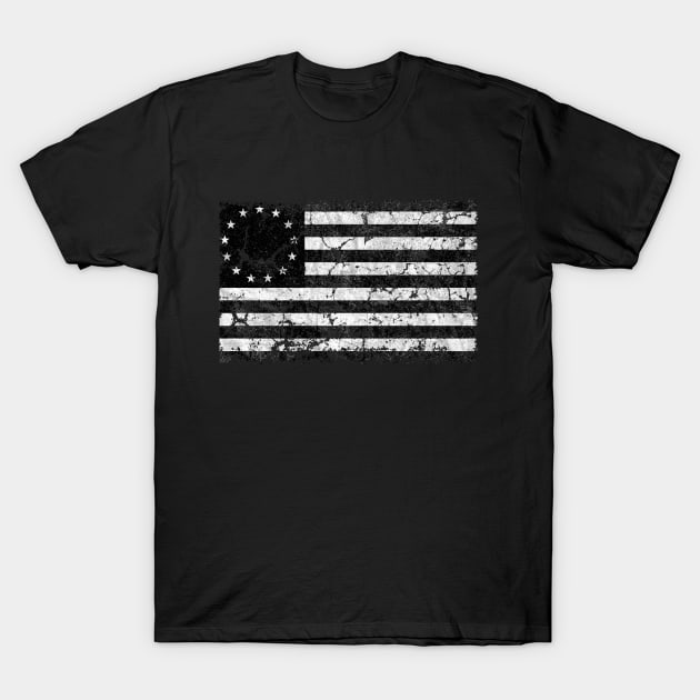 US Flag 1776, Black and White T-Shirt by cartogram